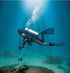 Fisher CZ21-8 Underwater Metal Detector
